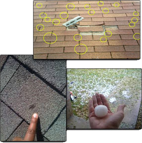 New Leaf Roofing Images