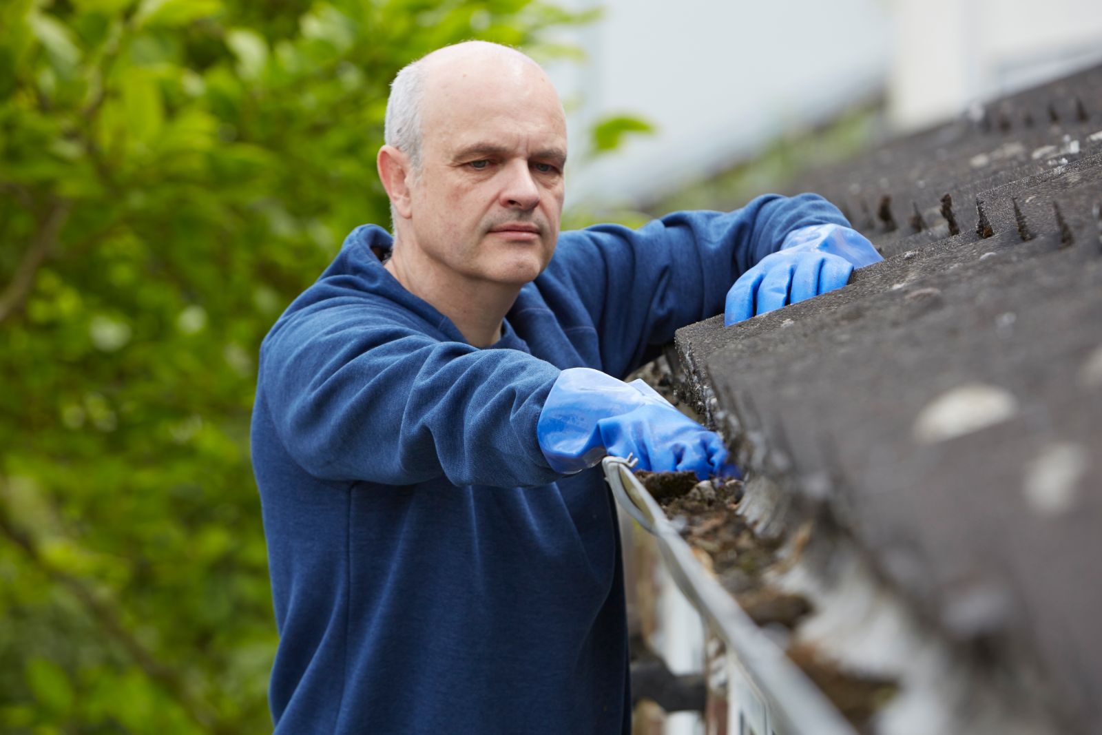 New Leaf Roofing Images