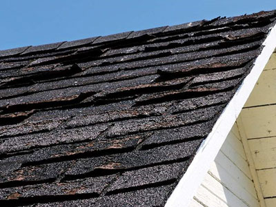 New Leaf Roofing Images