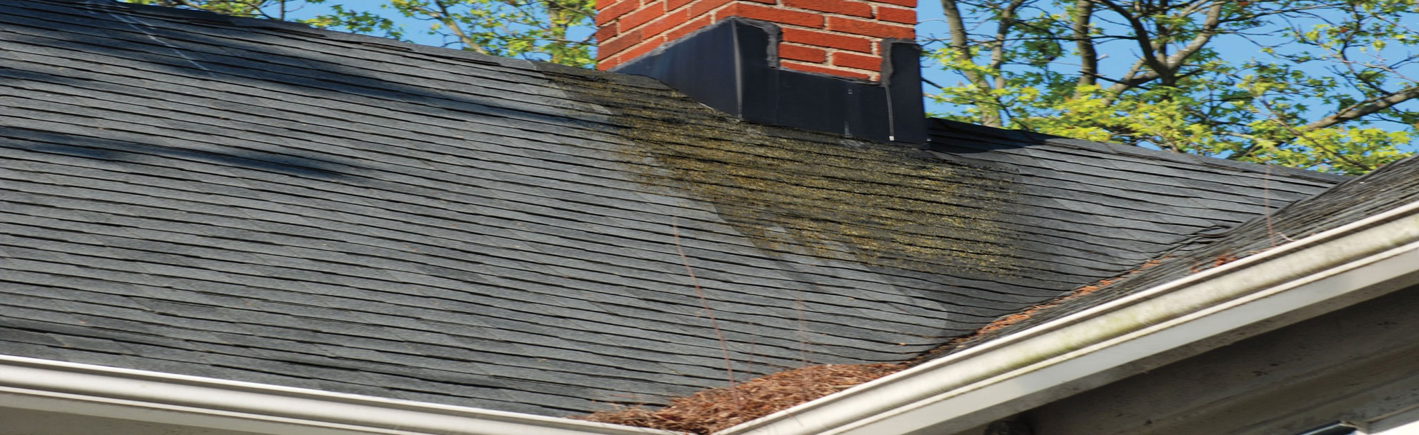 New Leaf Roofing Images